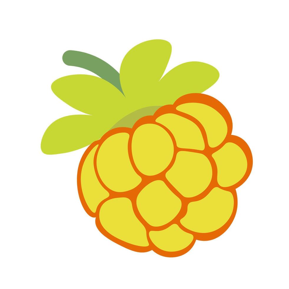 isolated fruit in shape flat style vector