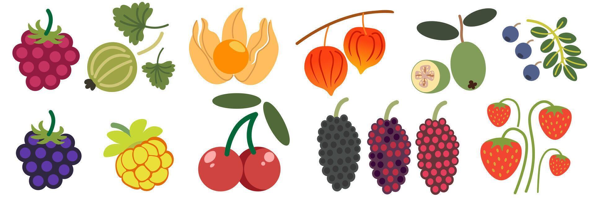 shape fruits set vector