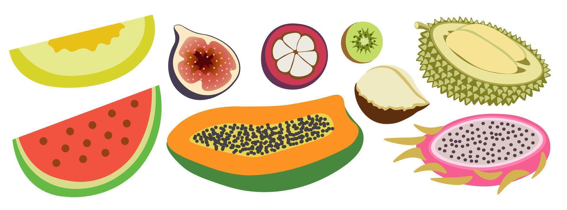 shape fruits set vector