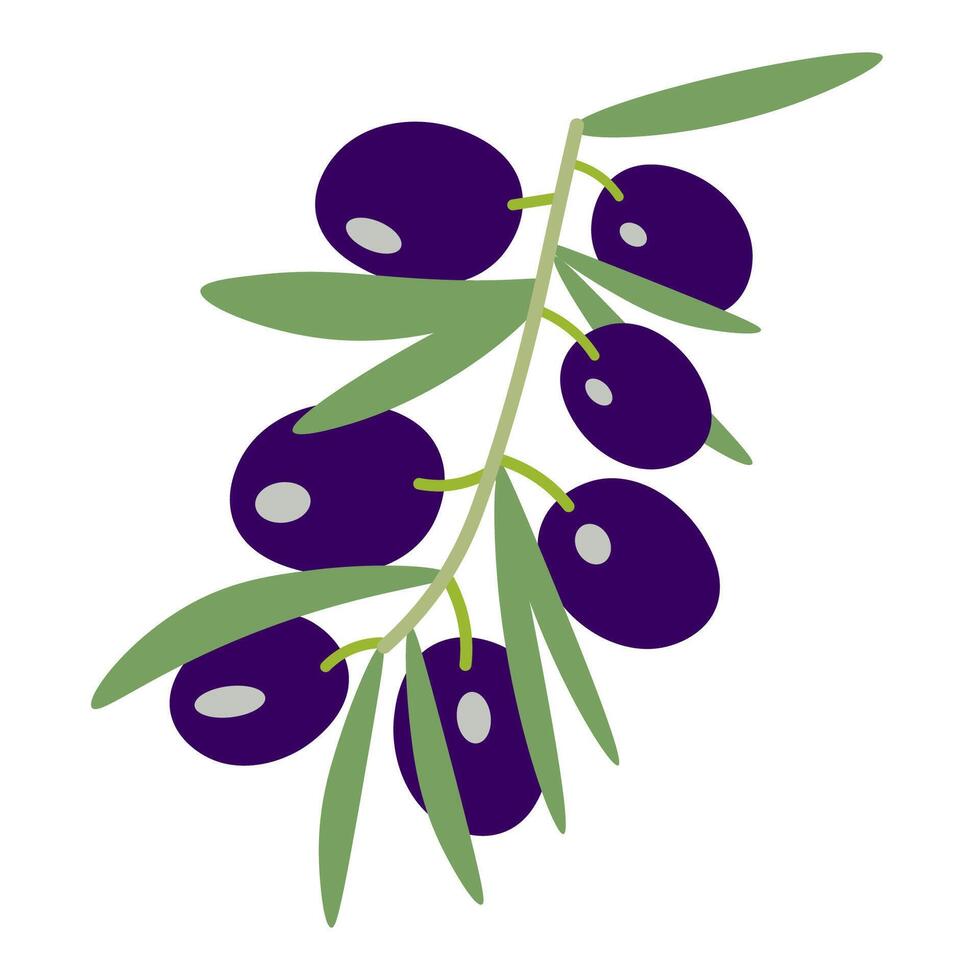 isolated fruit in shape flat style vector