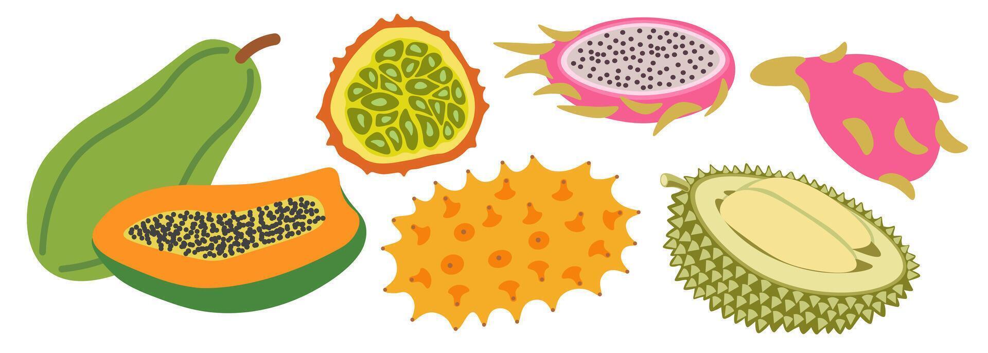 shape fruits set vector