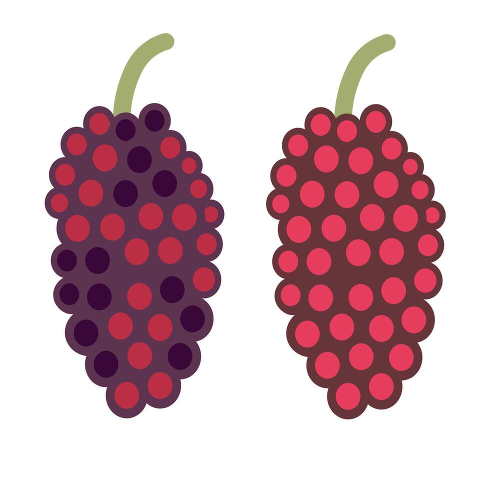isolated fruit in shape flat style vector