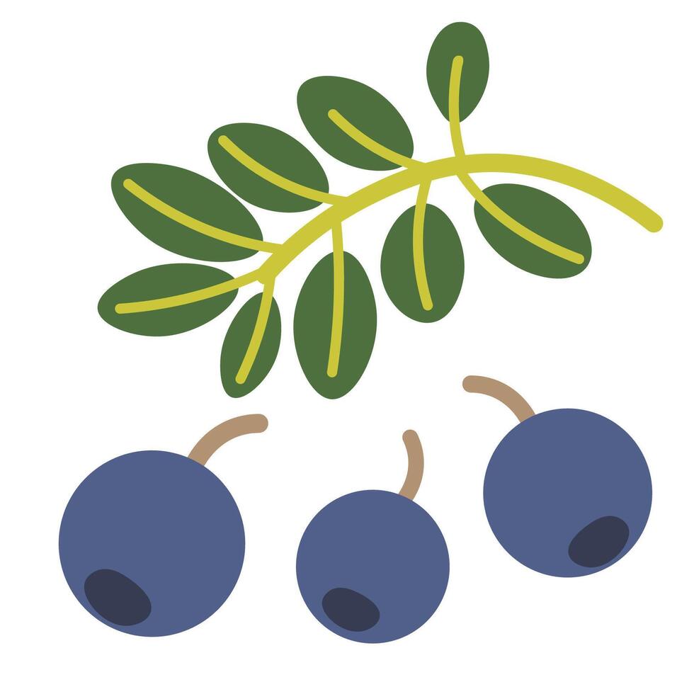 isolated fruit in shape flat style vector