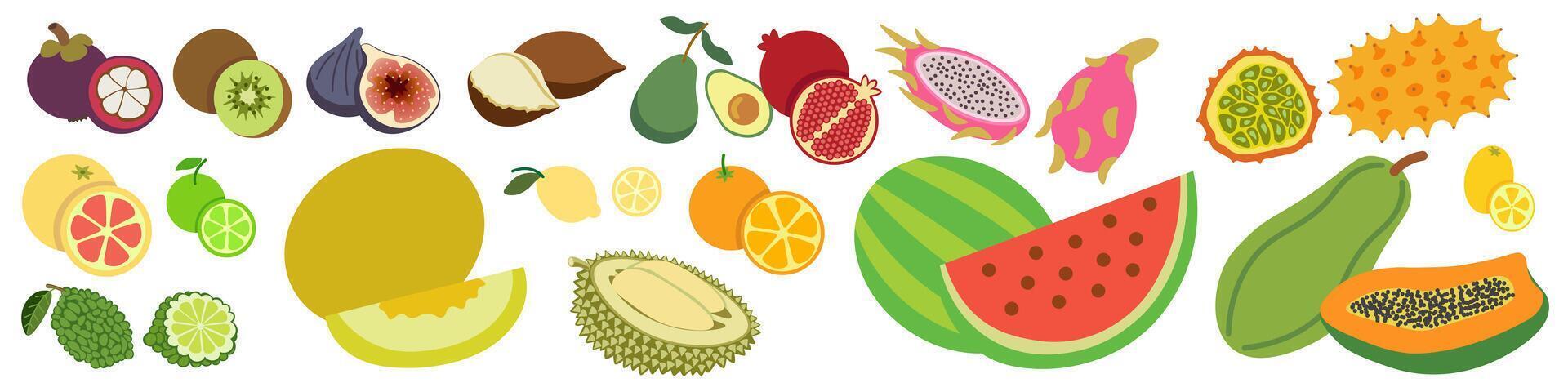 shape fruits set vector