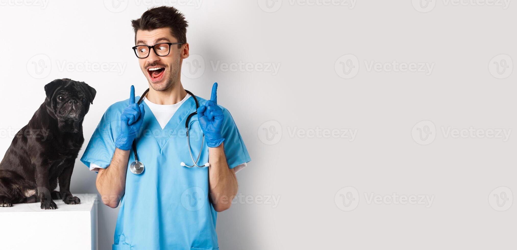 Cheerful handsome veteriantian in scrubs staring happy at cute little dog pug and smiling, pointing fingers up at promo offer, white background photo