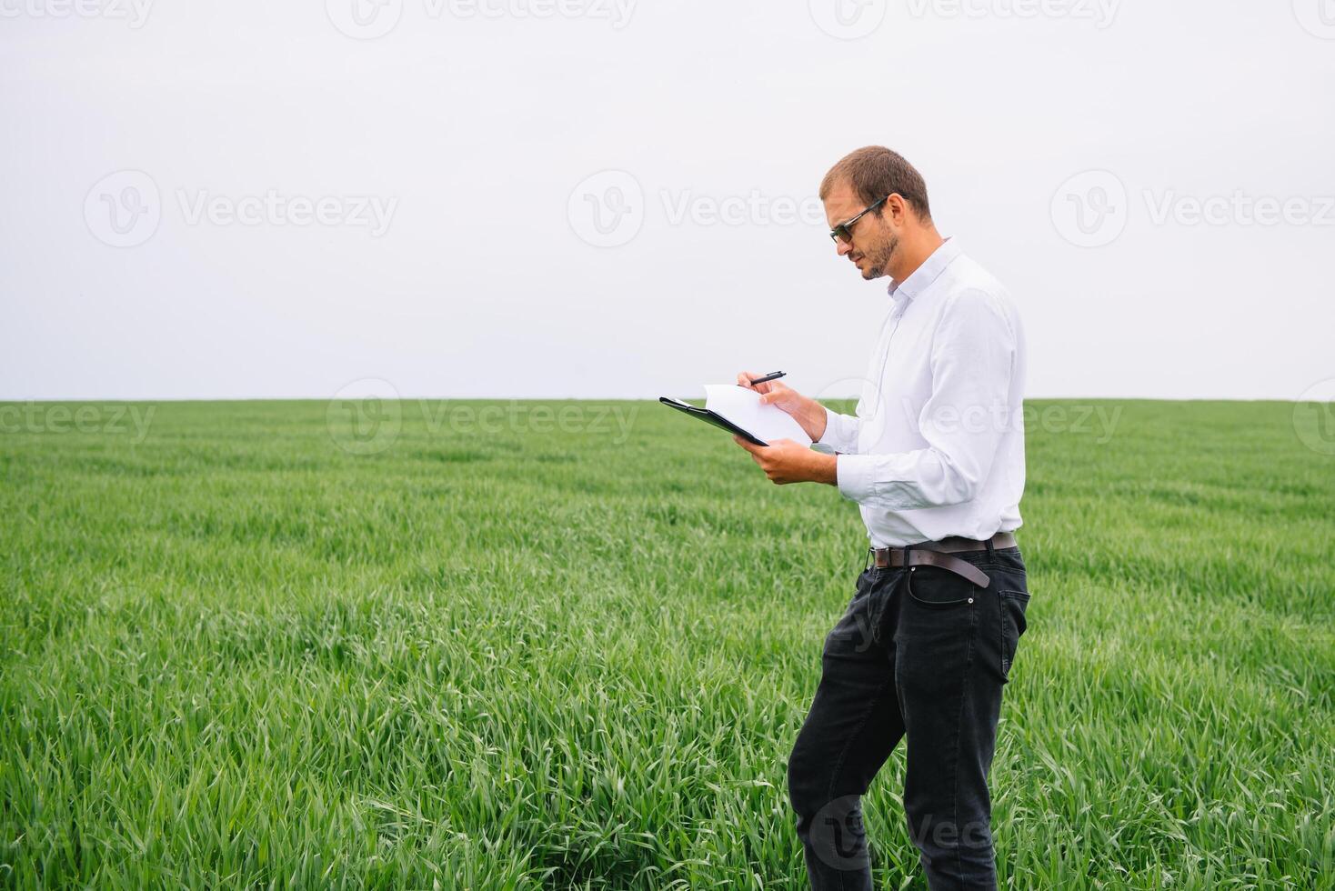 Young agronomist holds tablet touch pad computer in green wheat field. Agribusiness concept. agricultural engineer standing in a wheat field with a tablet in summer photo