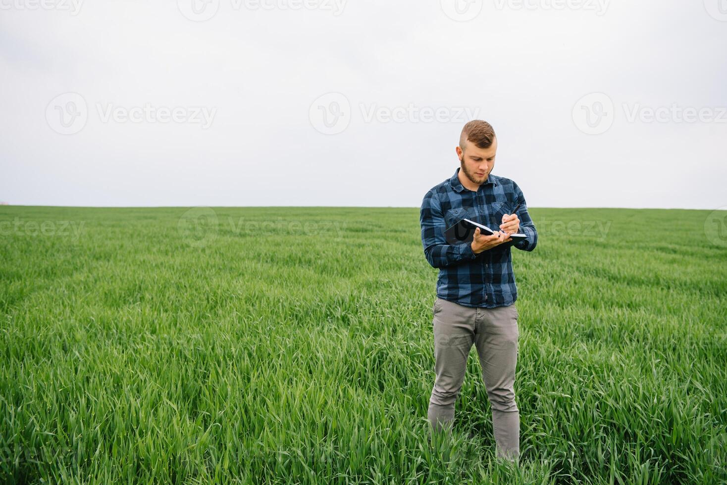 Young agronomist holds notebook in green wheat field. Agribusiness concept. agricultural engineer standing in a wheat field with a tablet in summer. photo