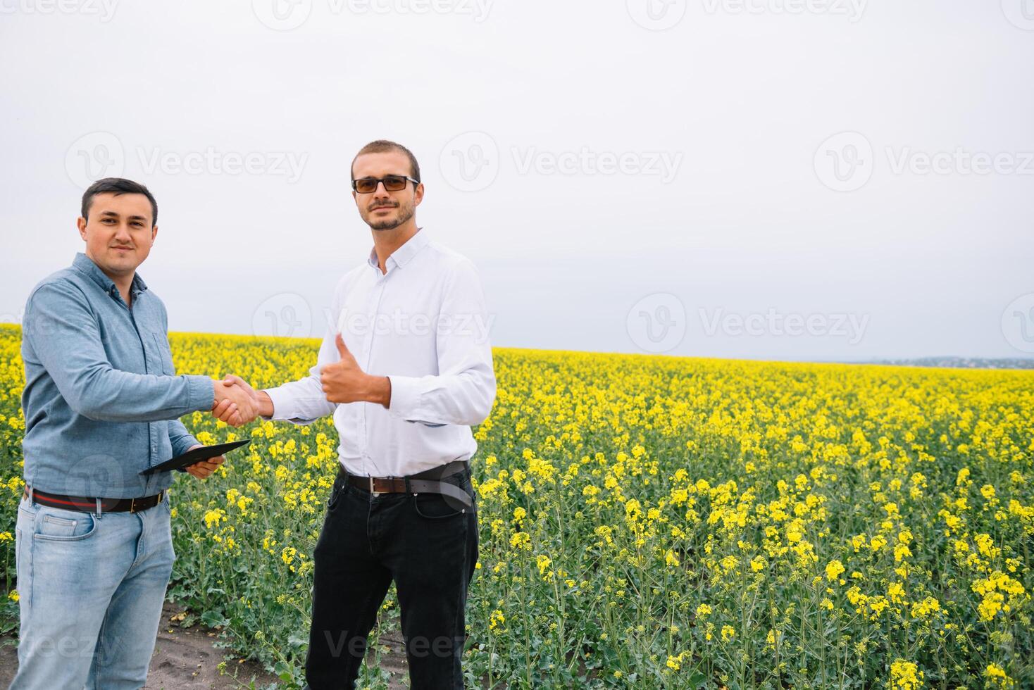 Two farmer standing in a rape field and looking at tablet, they are examining corp. Young handsome agronomist. Agribusiness concept. agricultural engineer standing in a rape field. photo