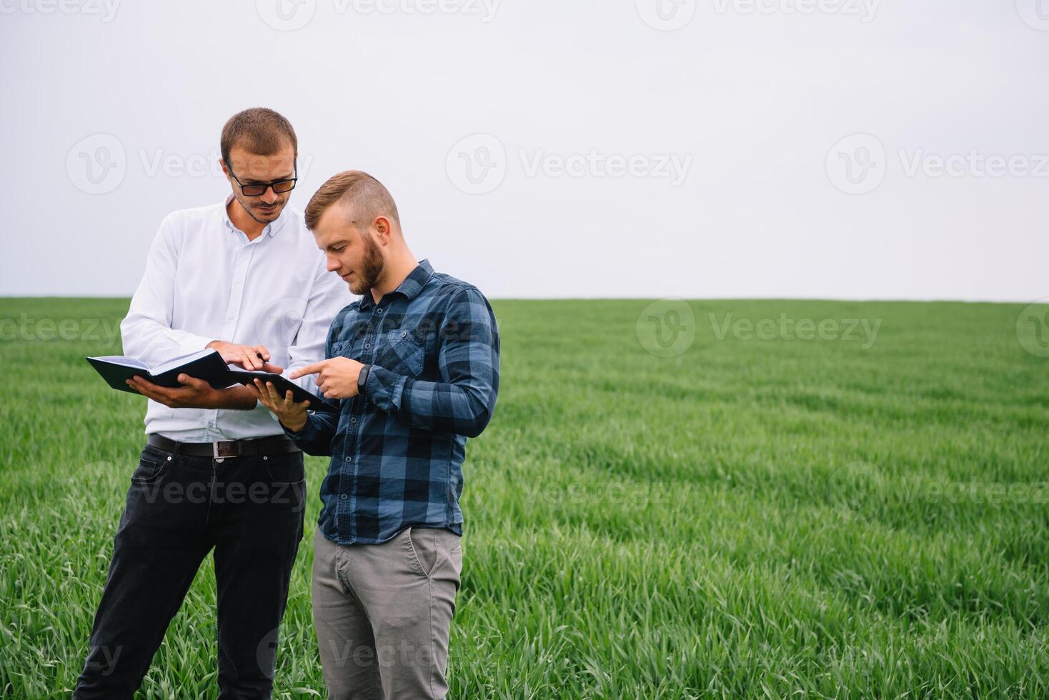 Two farmer standing in a wheat field and looking at tablet, they are examining corp. Young handsome agronomist. Agribusiness concept. agricultural engineer standing in a wheat field. photo