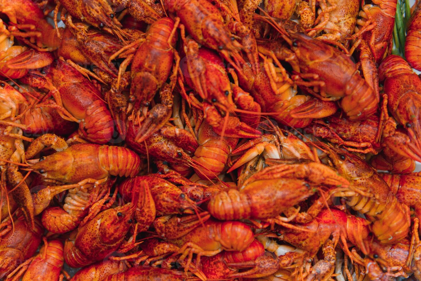 boiled crayfish on an iron plate. boiled red crayfish background for menu. top view, close up photo. a plate of cooked crayfish. Boiled crayfish, a traditional Russian dish. vintage photo processing