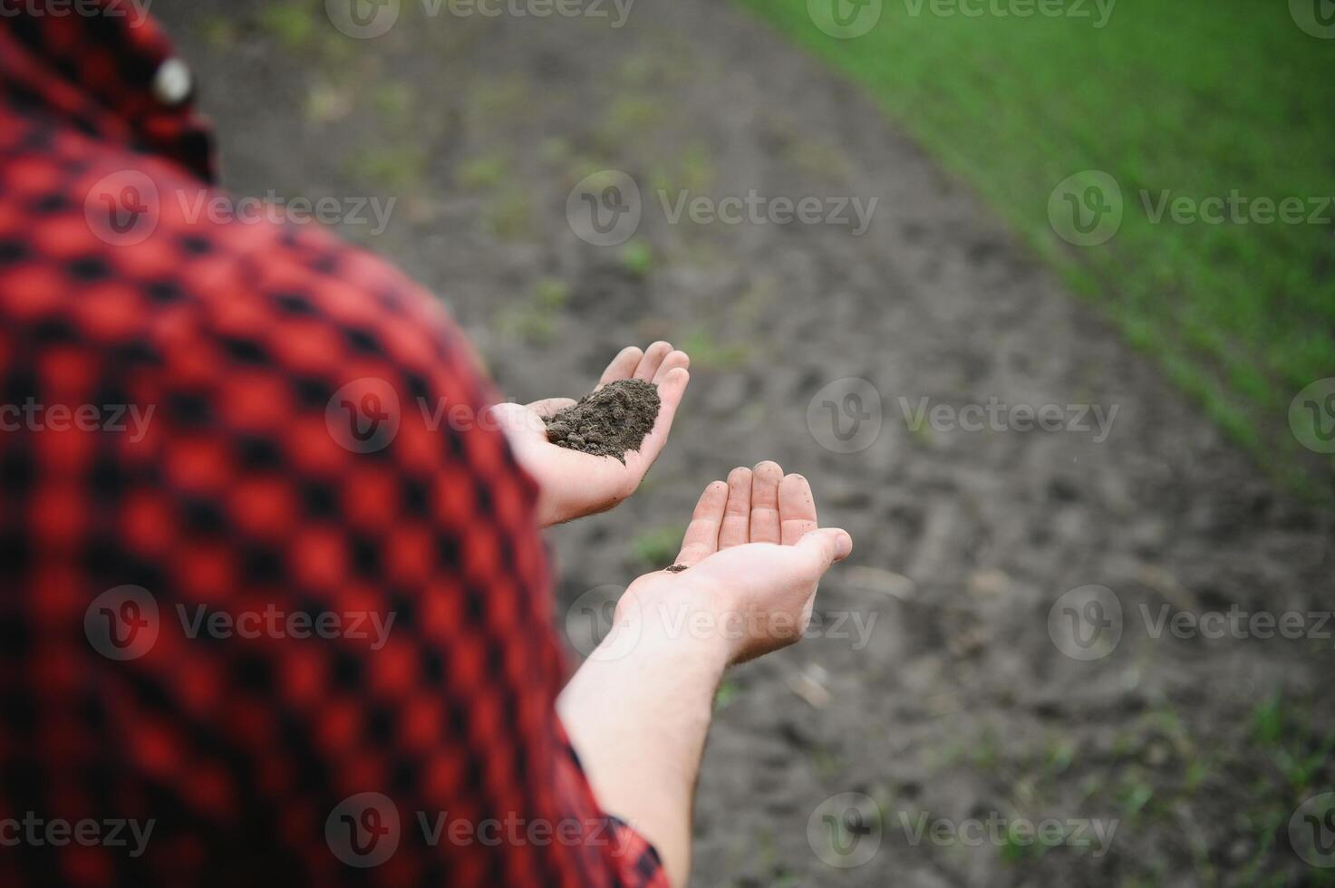 Farmer's hands hold a handful of fertile soil. The concept of agriculture, agribusiness. The gardener holds humus, fertilized soil, compost soil in his palms. Agriculture and fertility. photo