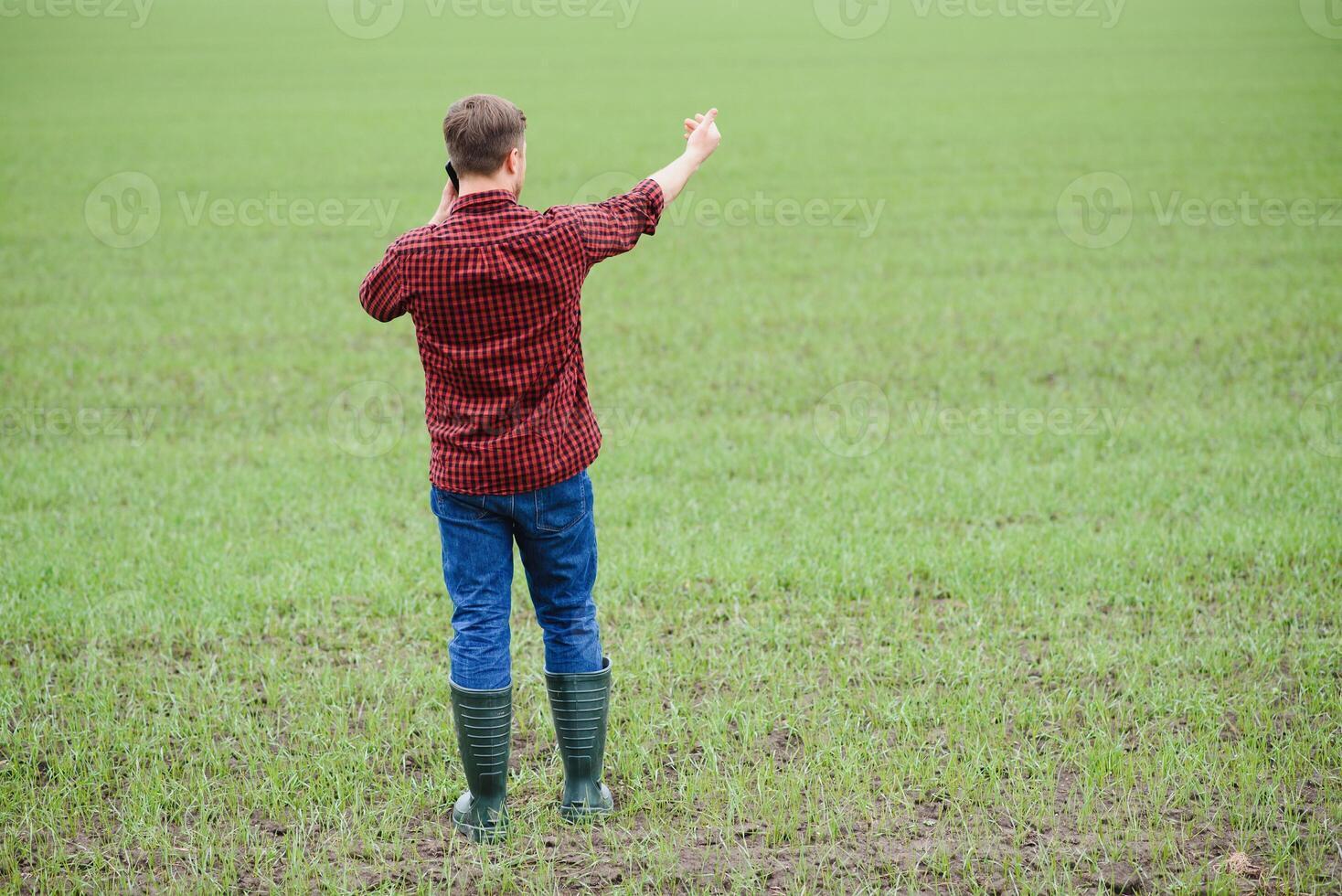 Handsome farmer. Young man walking in green field. Spring agriculture. photo