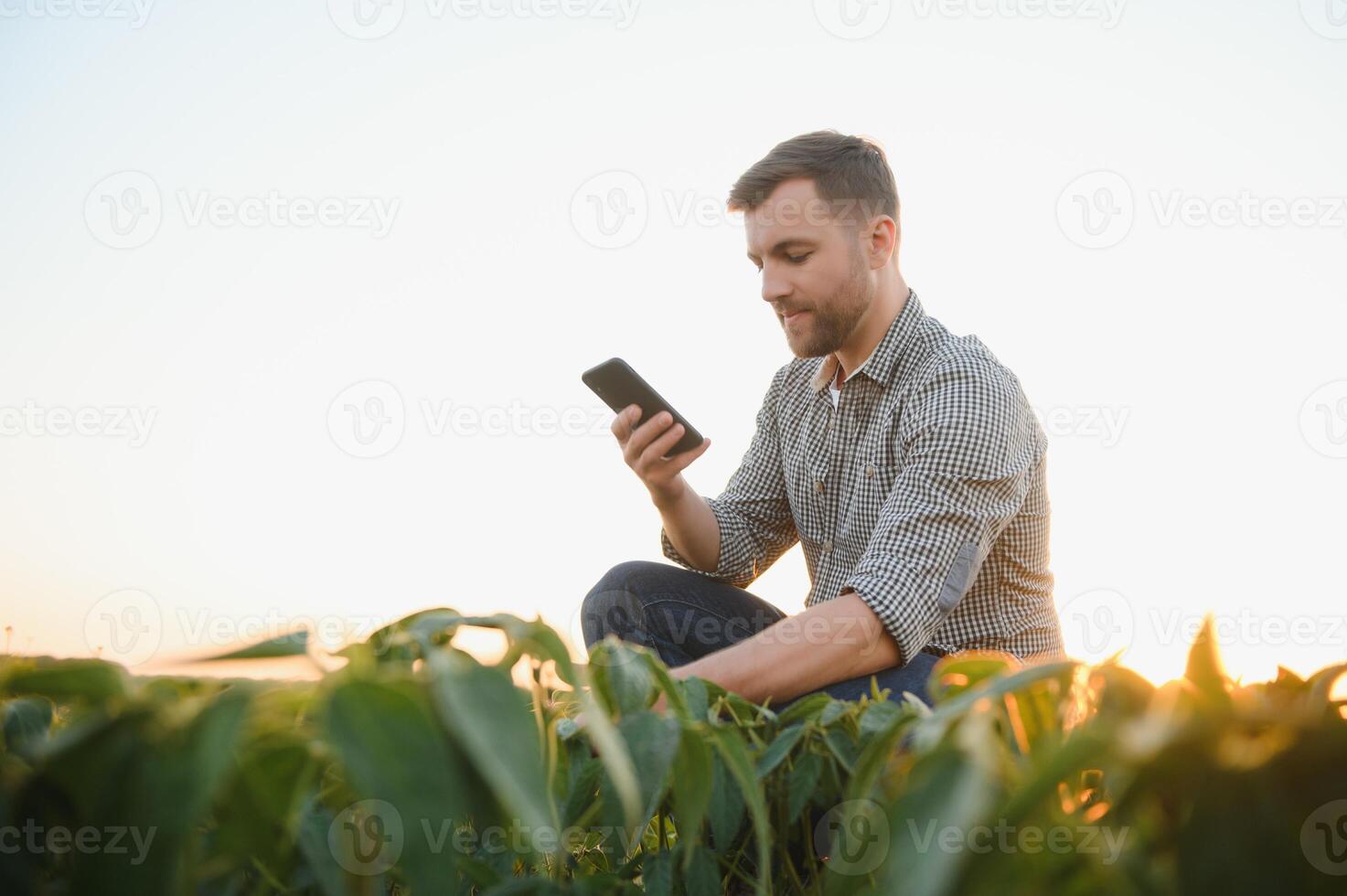 farmer agronomist in soybean field checking crops. Organic food production and cultivation. photo