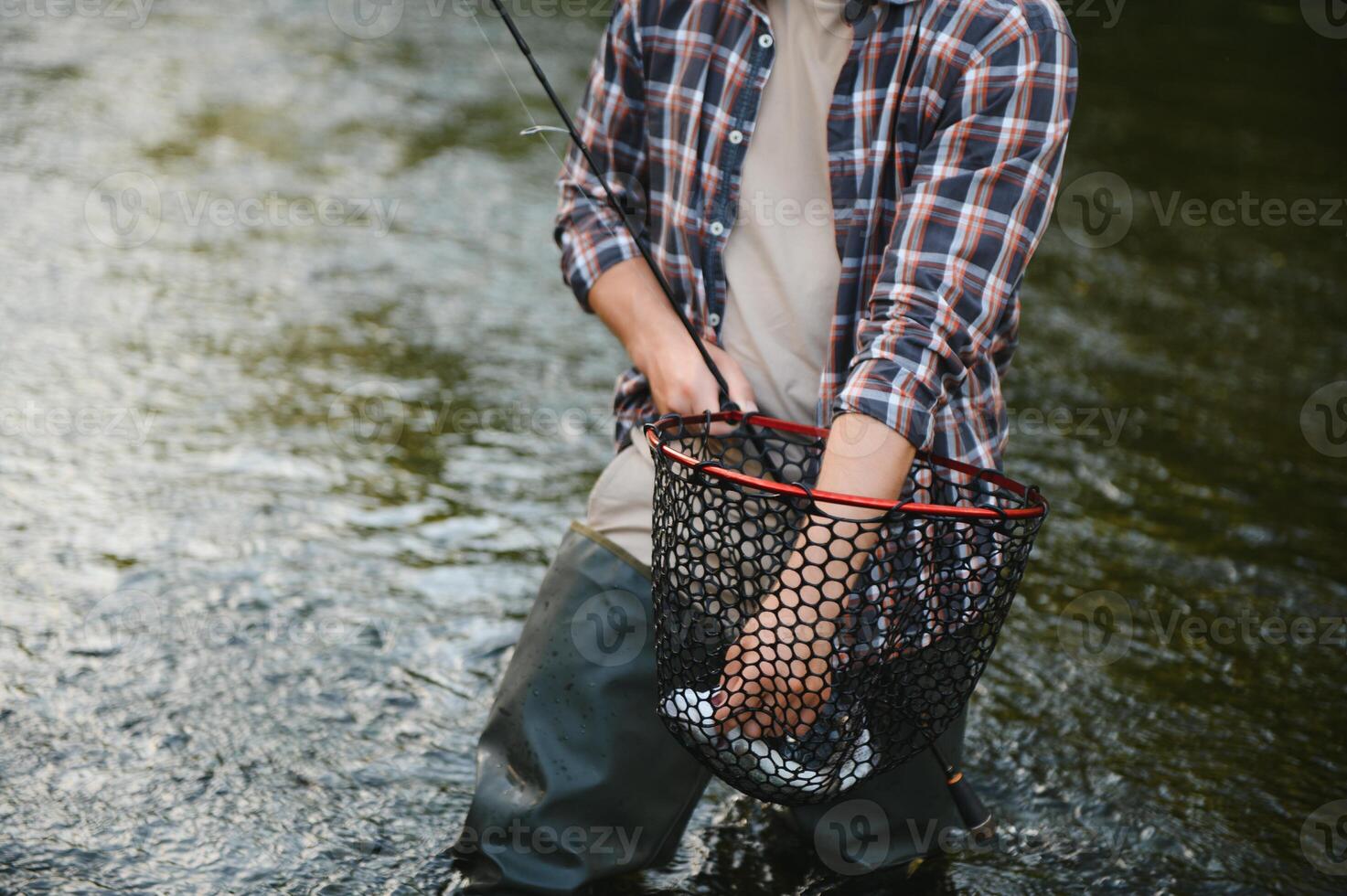 Fisherman picking up big rainbow trout from his fishing net photo