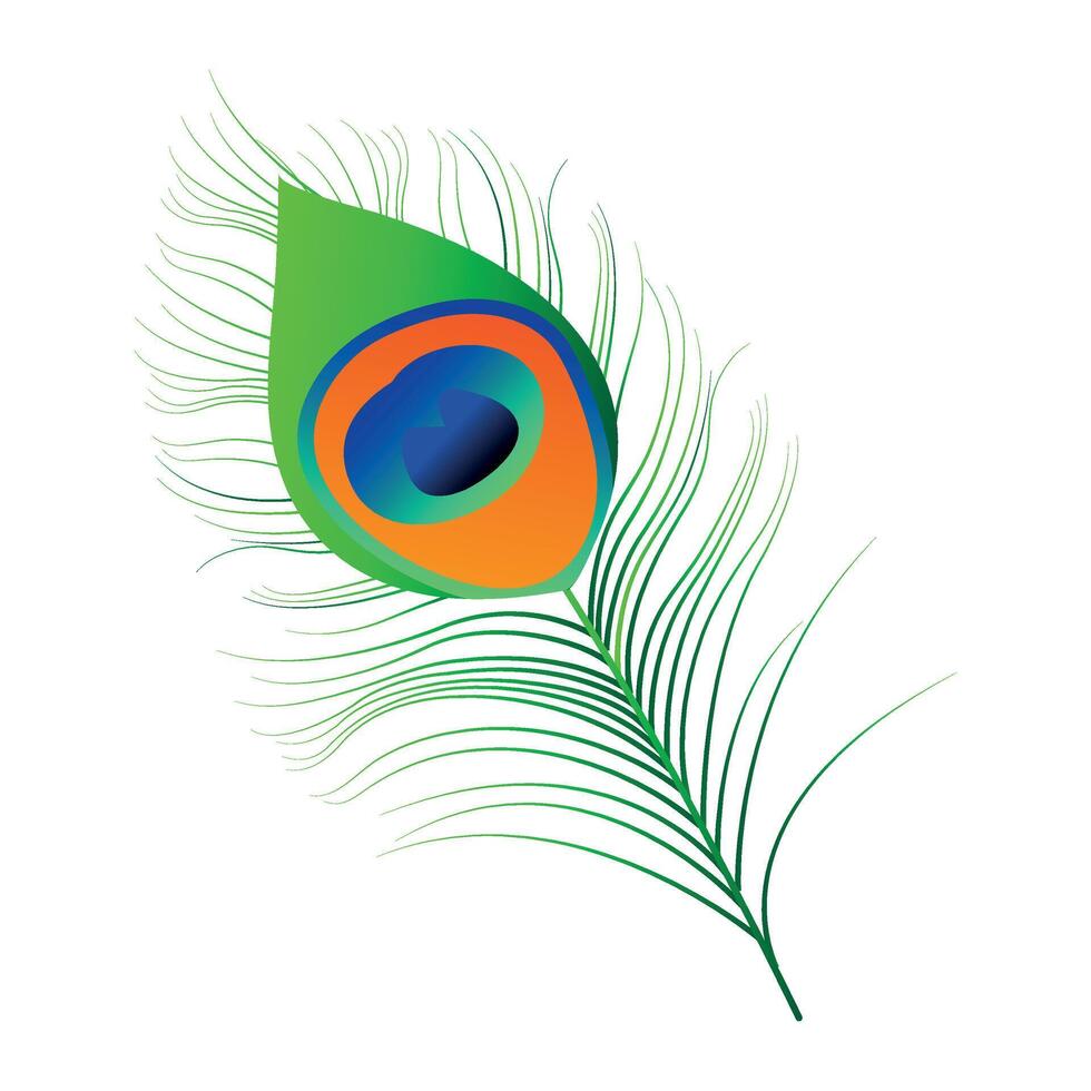 mor pankh, peacock feather vector