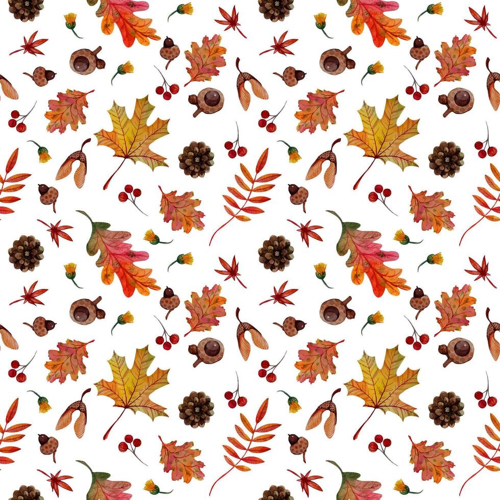 Seamless pattern autumn elements orange maple oak rowan leaves cones acorns samara on wight background. Suitable for creating printed fabric, wrapping paper, notebook covers, and more. vector