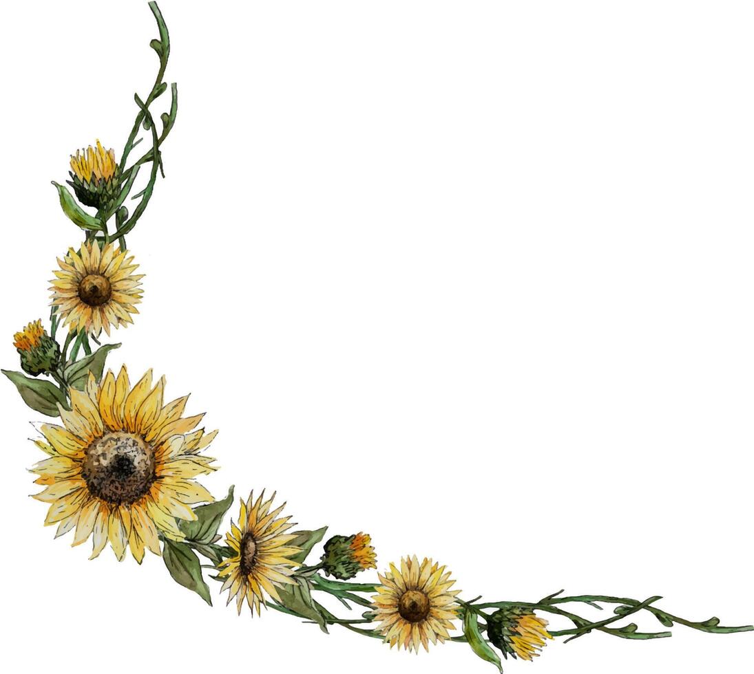 asymmetric wreath frame corner of flowers of buds of leaves o vector