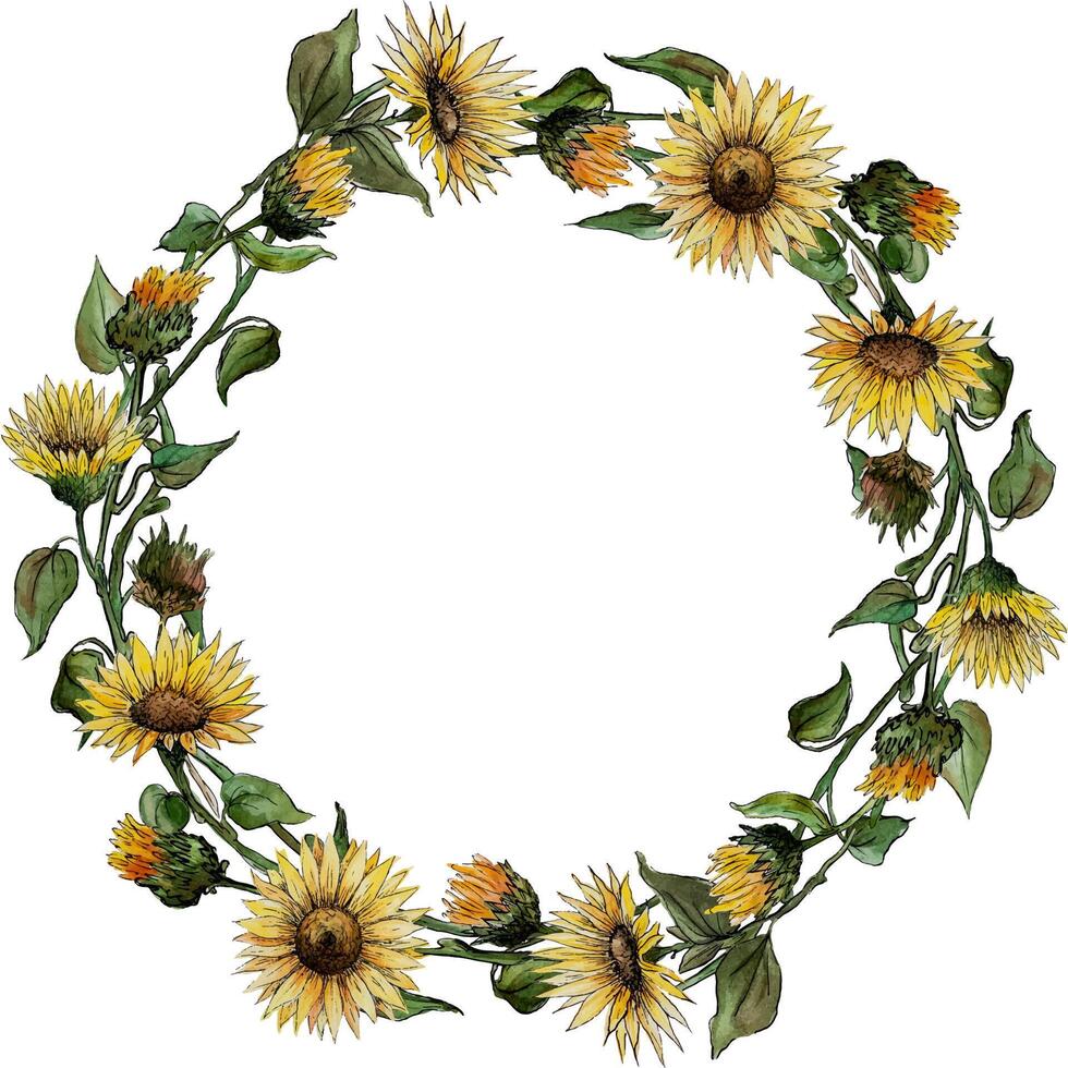 wreath round frame of flowers of buds of leaves of stalks of a sunflower vector