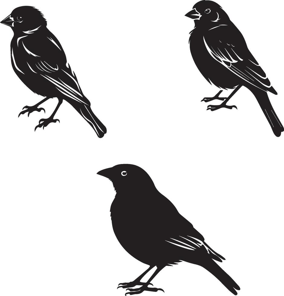 Bird set icons logo type silhouette vector