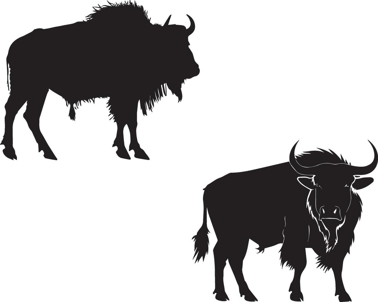Bison Black Silhouette on white background vector