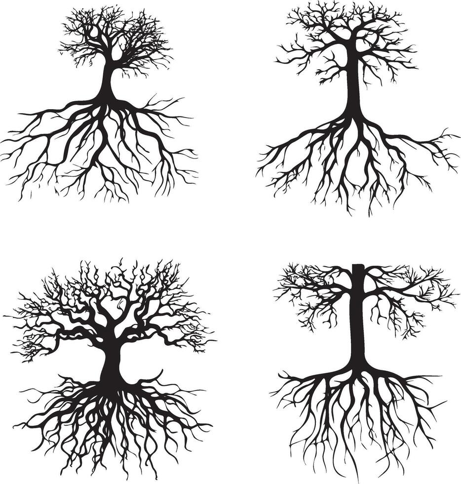 Tree roots set black silhouettes vector
