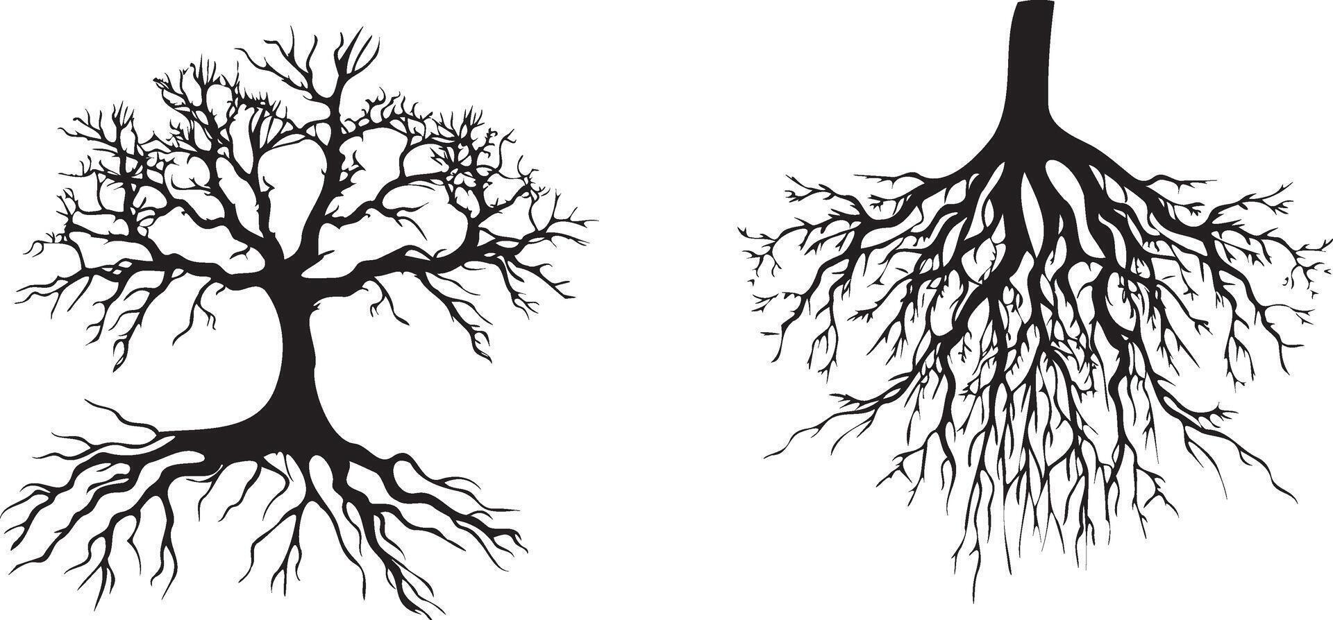 Tree roots set black silhouettes vector