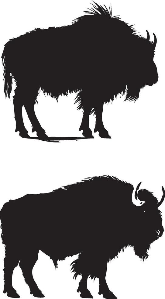 Bison Black Silhouette on white background vector
