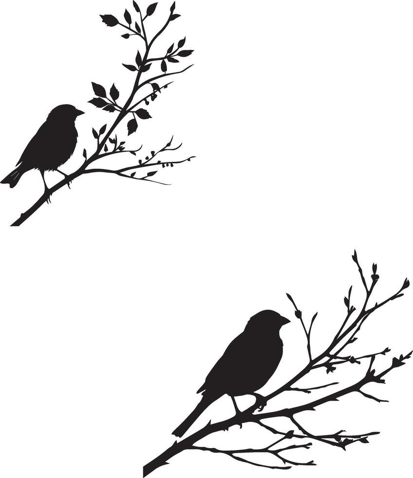 Sparrow bird silhouette branch vector
