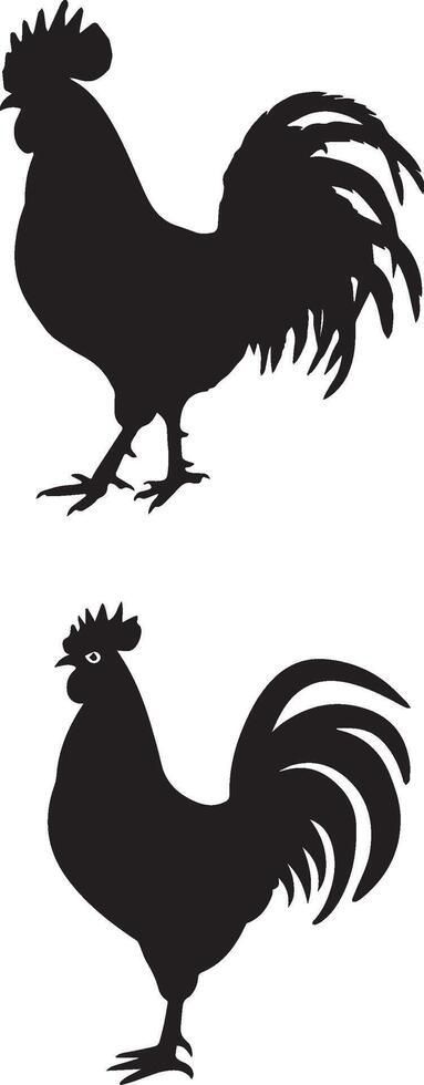 Rooster silhouette on white background vector