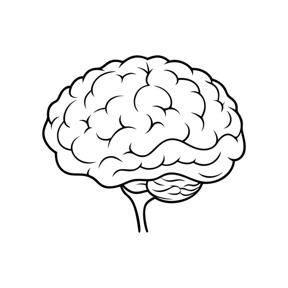 Brain. Internal organs. Icon on a white background. One line vector
