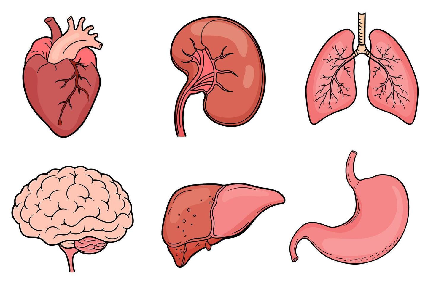 Set of isolated icons with different human internal organs cartoon style vector