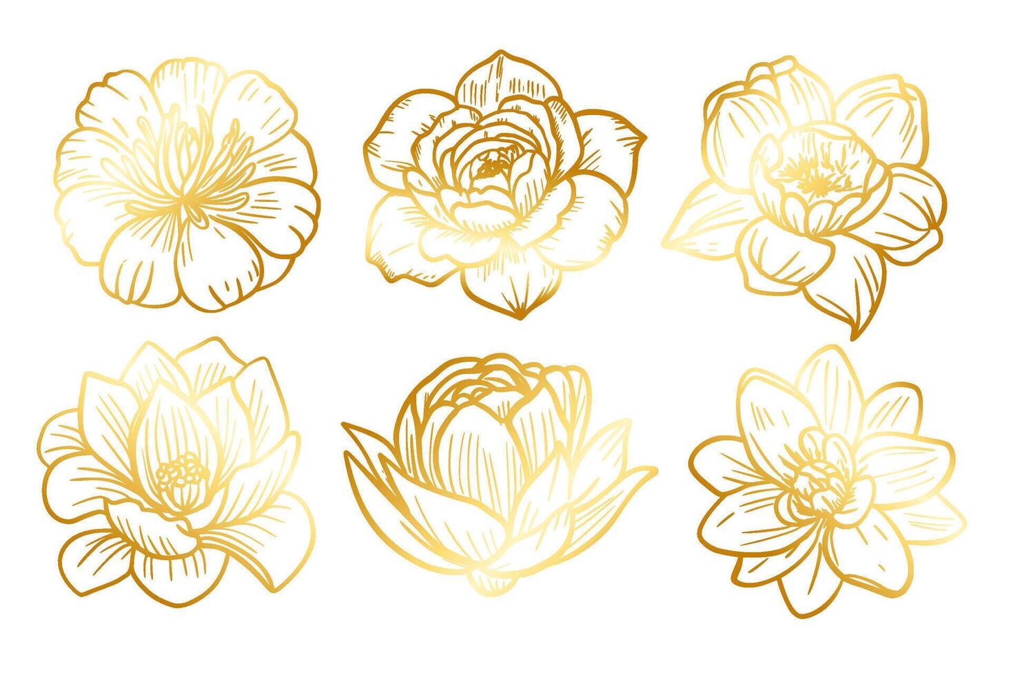 Golden sketch of a flower on a white background. vector