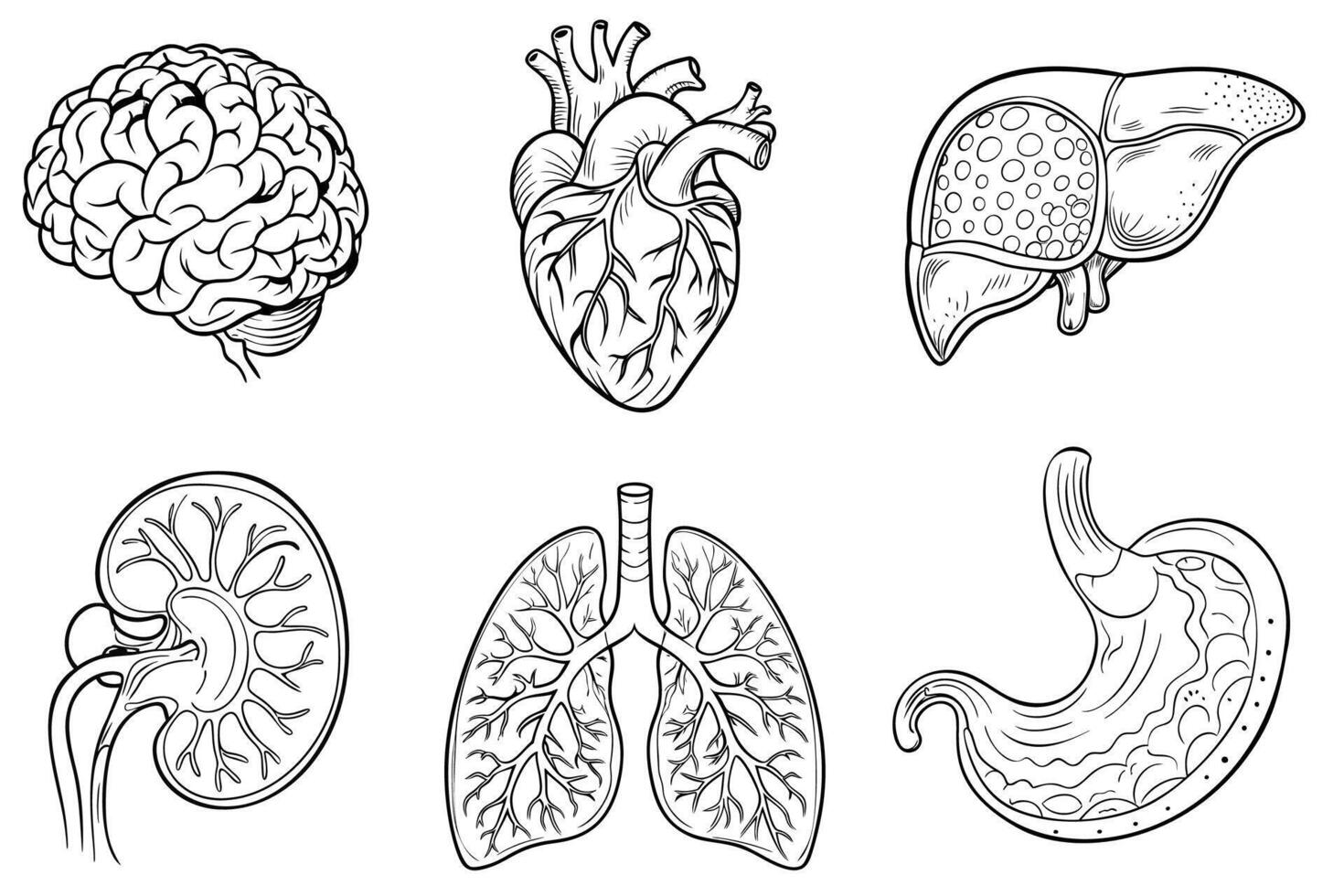 Set of isolated icons with different human internal organs cartoon style vector