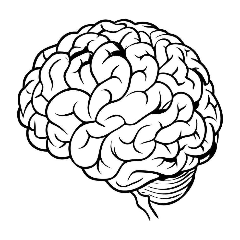 Brain. Internal organs. Icon on a white background. One line vector