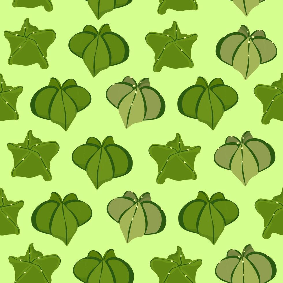 Seamless pattern of green astrophytum succulents on a green background vector