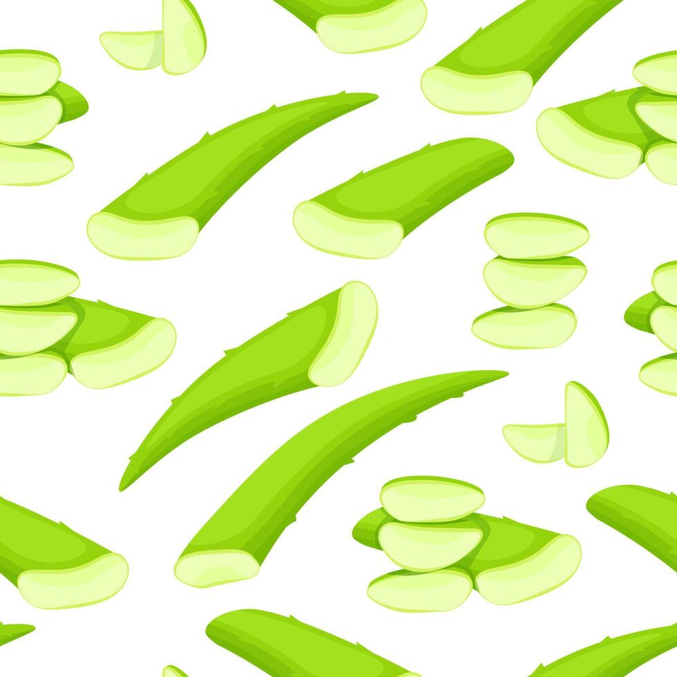 Seamless pattern of aloe vera leaves on white background vector