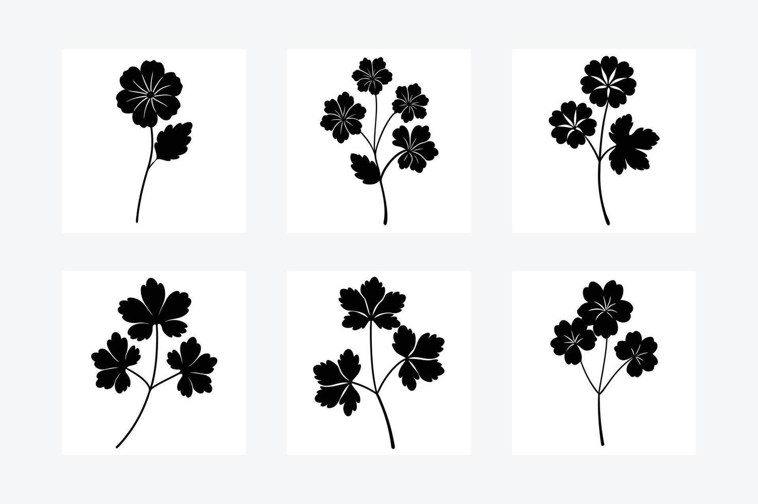 Geranium flower silhouette illustration vector