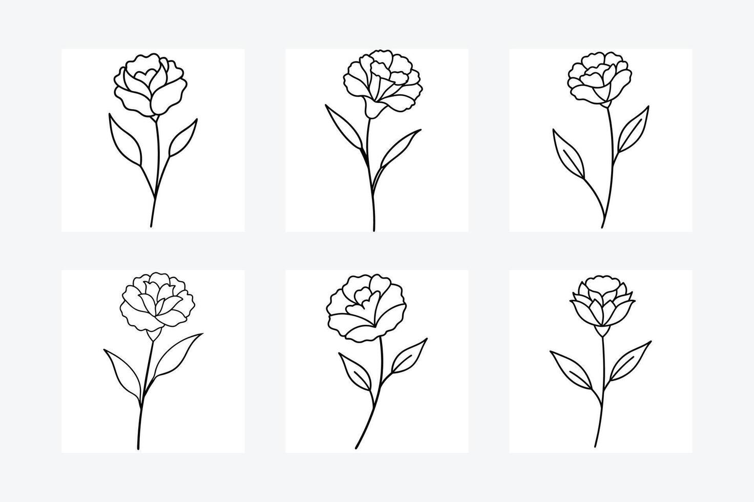 Carnation flower line art illustration vector