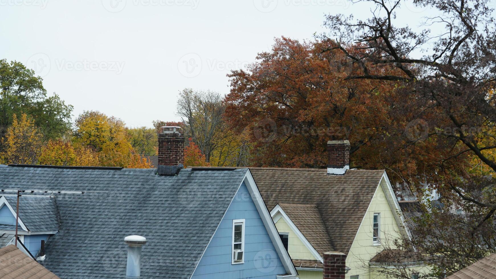 The beautiful New York city view with the colorful autumn trees and buildings as background in autumn photo