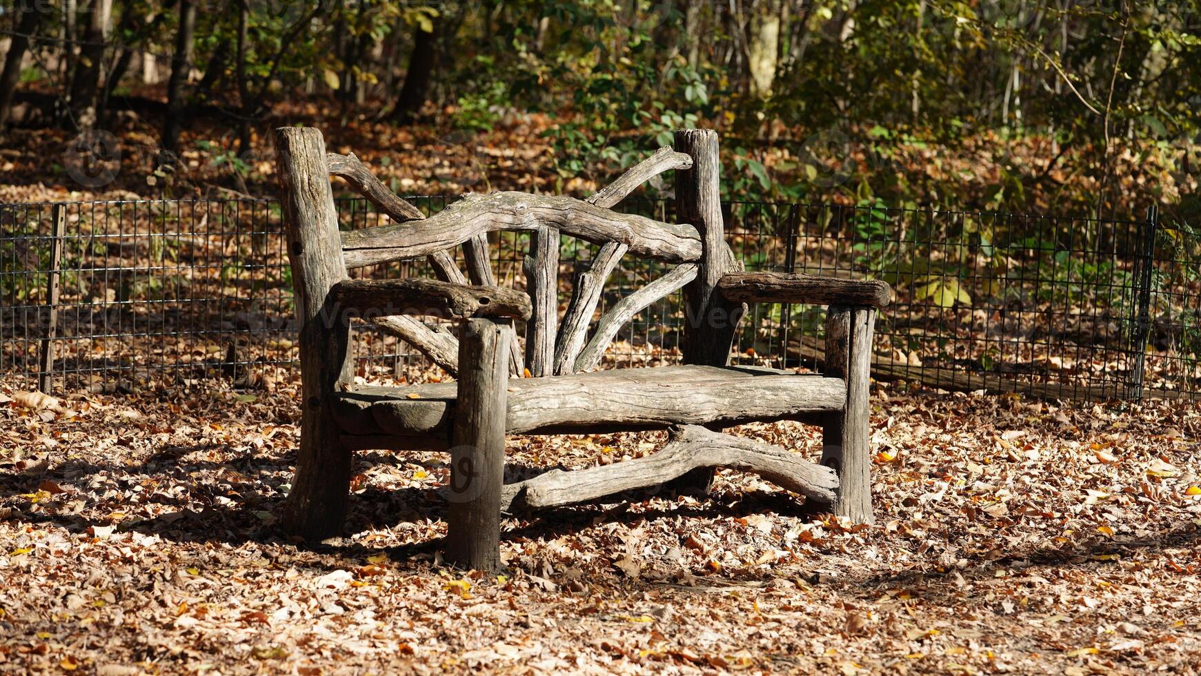 One wooden chairs view located in the park in autumn photo