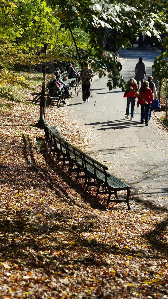The beautiful central park autumn landscape with the colorful trees in New York photo