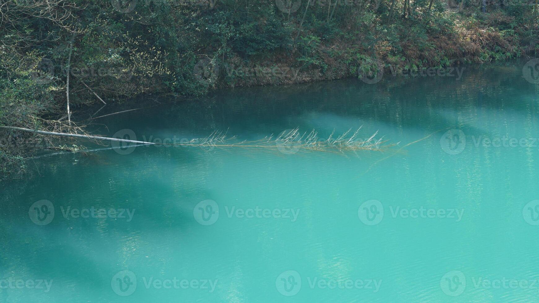 The beautiful lake landscapes with the green forest as background in the countryside of the China photo