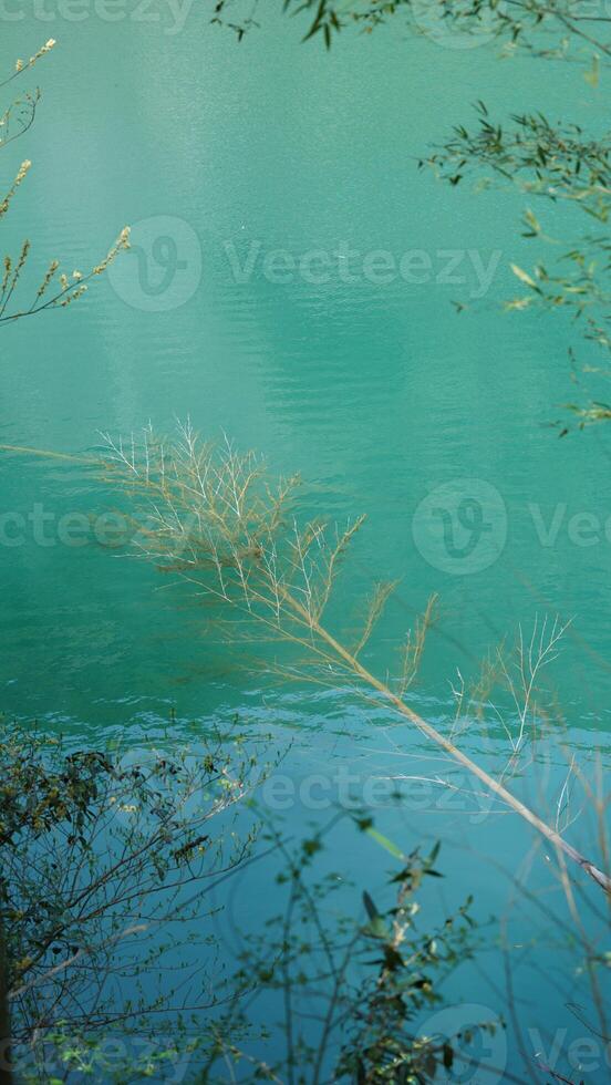 The beautiful lake landscapes with the green forest as background in the countryside of the China photo