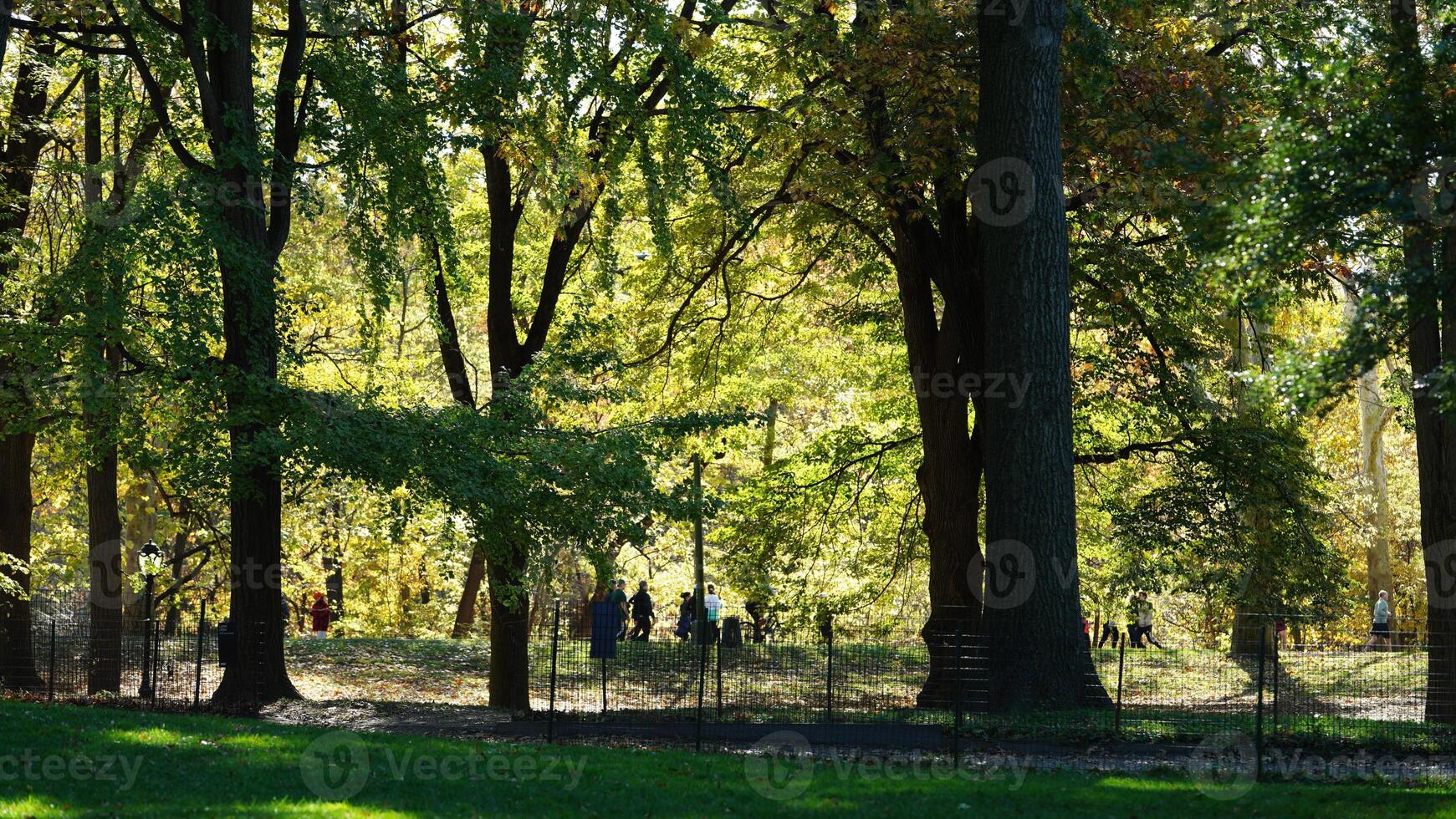 The beautiful central park autumn landscape with the colorful trees in New York photo