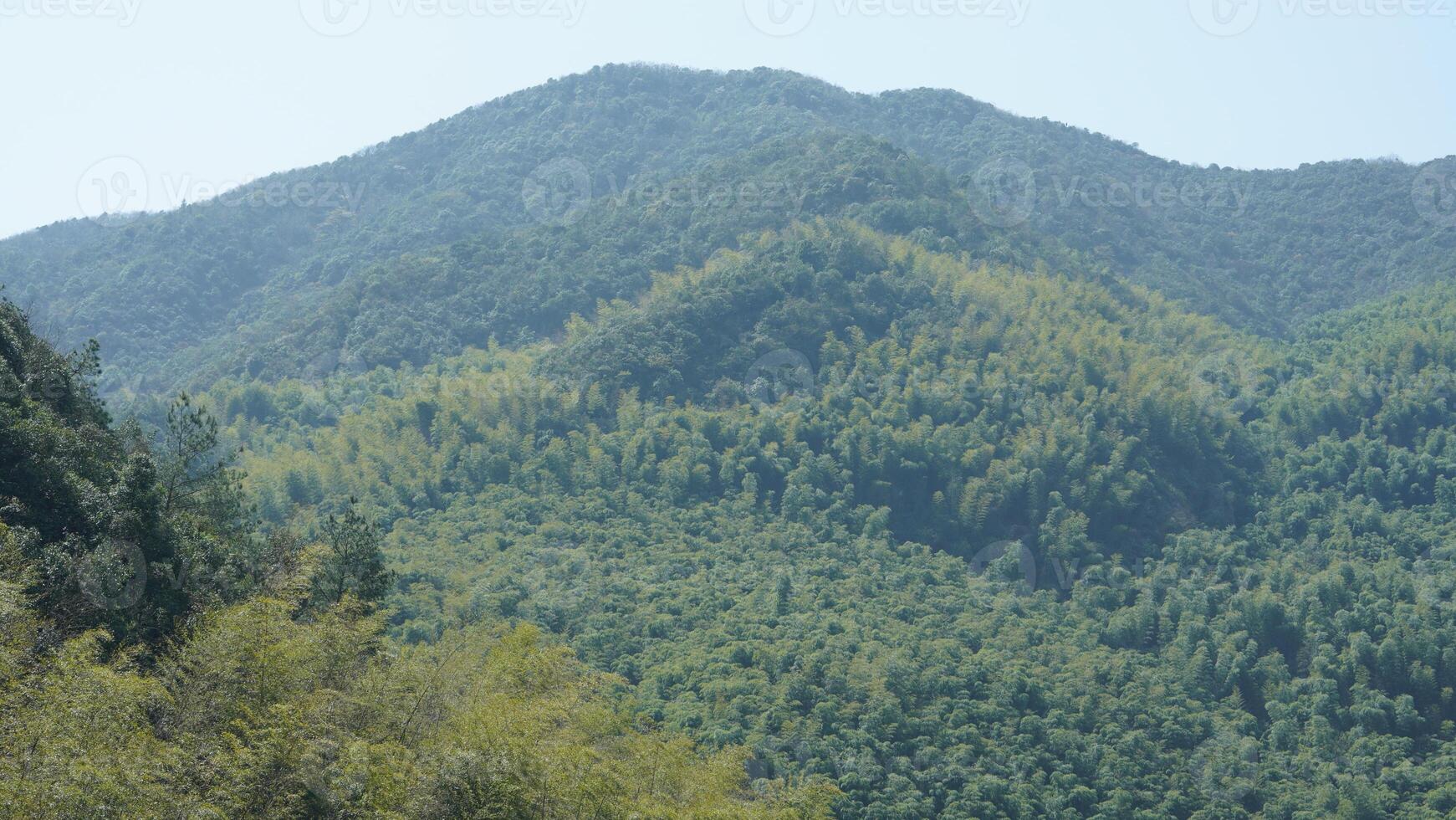 The beautiful mountains landscapes with the green bamboo forests as background in the countryside of the China photo