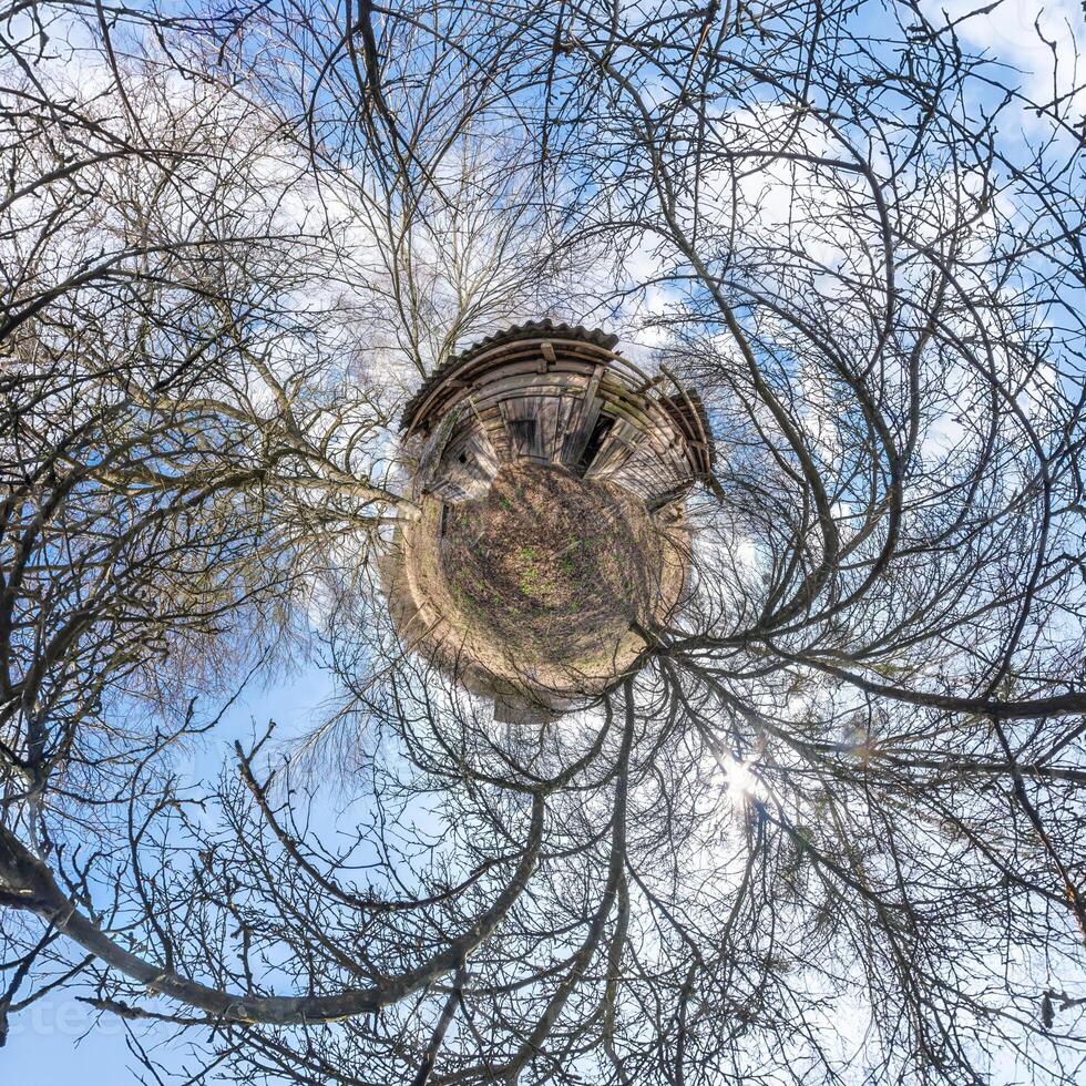 tiny planet transformation of spherical panorama 360 degrees. Spherical abstract aerial view with trees in forest with clumsy branches in blue sky. Curvature of space. photo