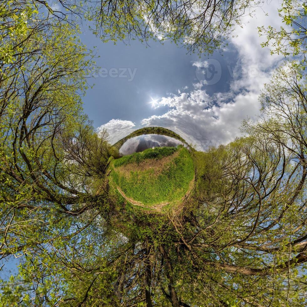 tiny planet transformation of spherical panorama 360 degrees. Spherical abstract aerial view with trees in forest with clumsy branches in blue sky. Curvature of space. photo