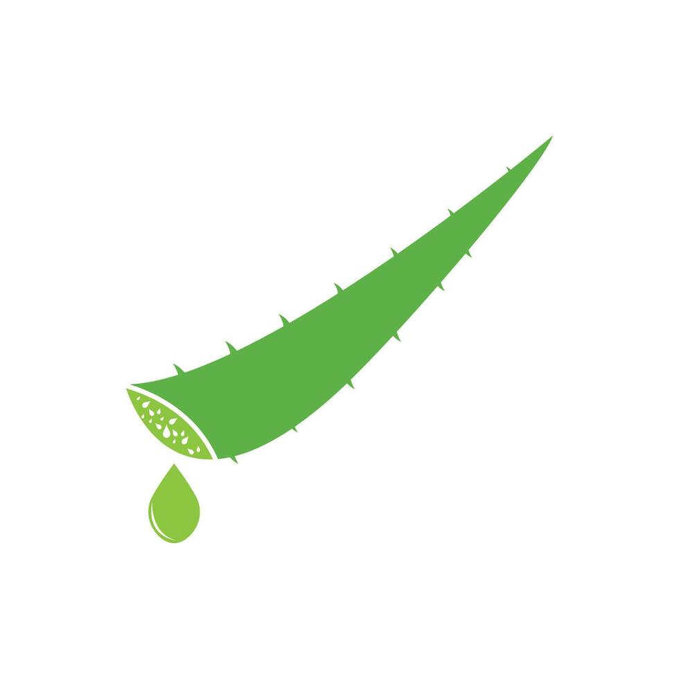 Aloe Vera logo icon design symbol beauty vector
