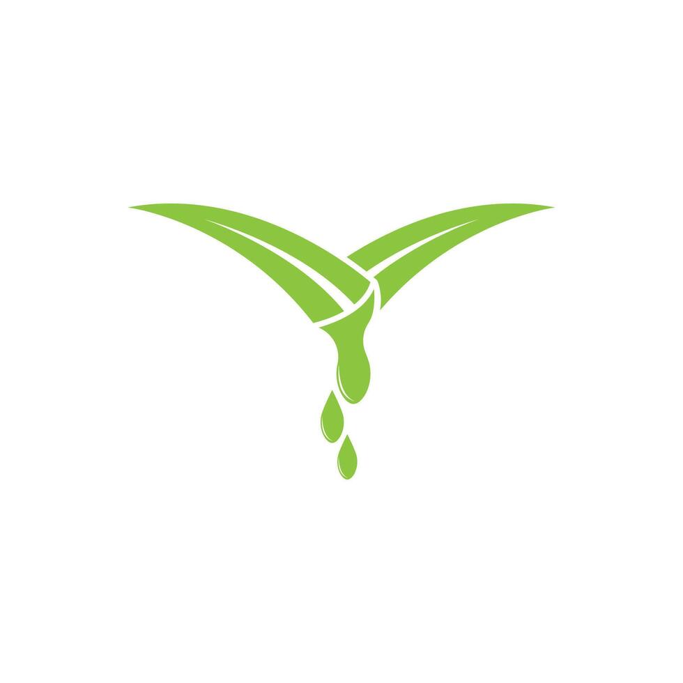 Aloe Vera logo icon design symbol beauty vector