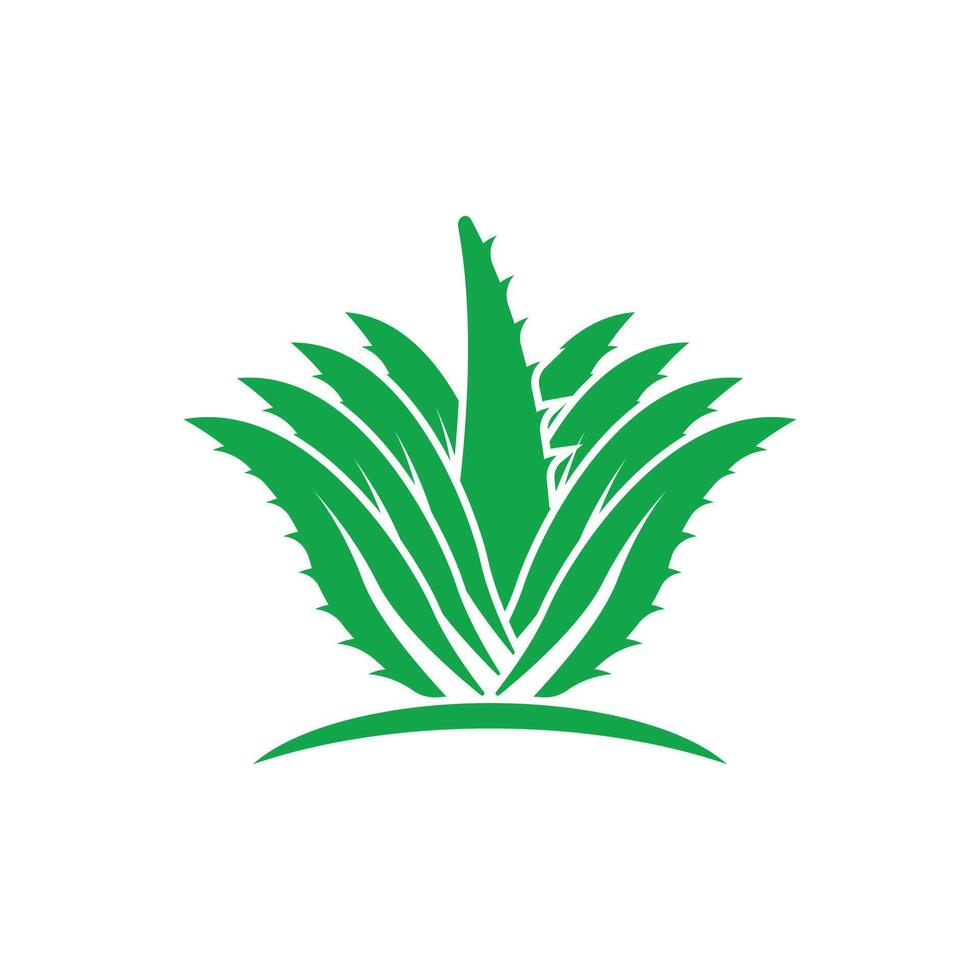 Aloe Vera logo icon design symbol beauty vector